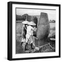 The Annamese Way of Reaping and Threshing Rice, Annam, Vietnam, 1922-null-Framed Giclee Print