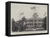 The Annexation of Hawaii, Hoisting the American Flag at Honolulu-null-Framed Stretched Canvas