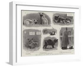 The Annual Cat Show at the Crystal Palace-null-Framed Giclee Print