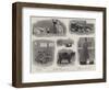 The Annual Cat Show at the Crystal Palace-null-Framed Giclee Print