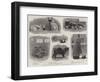 The Annual Cat Show at the Crystal Palace-null-Framed Giclee Print