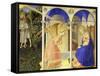 The Annunciation, 1426-1428-Fra Angelico-Framed Stretched Canvas