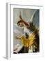 The Annunciation (Detail)-Francisco de Goya-Framed Giclee Print