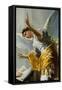 The Annunciation (Detail)-Francisco de Goya-Framed Stretched Canvas