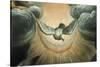 The Annunciation (Dove Detail)-Garofalo-Stretched Canvas