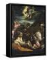 The Annunciation to the Shepherds, C.1555-1560-Jacopo Bassano-Framed Stretched Canvas