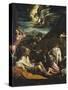 The Annunciation to the Shepherds, C.1555-1560-Jacopo Bassano-Stretched Canvas