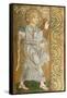 The Annunciation-null-Framed Stretched Canvas