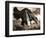 The Anteater-null-Framed Giclee Print