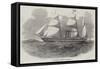 The Antelope Australian Screw Steam-Ship-null-Framed Stretched Canvas