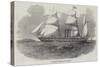 The Antelope Australian Screw Steam-Ship-null-Stretched Canvas