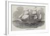 The Antelope Australian Screw Steam-Ship-null-Framed Giclee Print