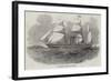 The Antelope Australian Screw Steam-Ship-null-Framed Giclee Print