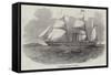 The Antelope Australian Screw Steam-Ship-null-Framed Stretched Canvas