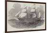 The Antelope Australian Screw Steam-Ship-null-Framed Giclee Print