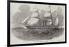 The Antelope Australian Screw Steam-Ship-null-Framed Giclee Print