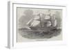 The Antelope Australian Screw Steam-Ship-null-Framed Giclee Print