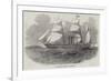 The Antelope Australian Screw Steam-Ship-null-Framed Giclee Print