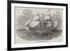 The Antelope Australian Screw Steam-Ship-null-Framed Giclee Print