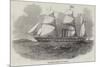 The Antelope Australian Screw Steam-Ship-null-Mounted Giclee Print