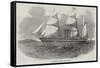 The Antelope Australian Screw Steam-Ship-null-Framed Stretched Canvas