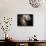 The Antennae Galaxies-Stocktrek Images-Framed Stretched Canvas displayed on a wall