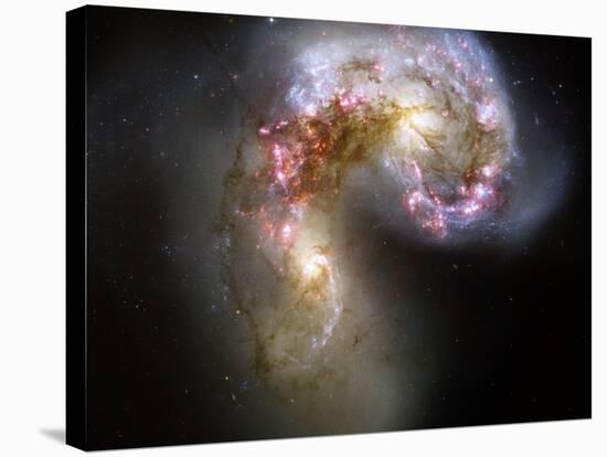 The Antennae Galaxies-Stocktrek Images-Stretched Canvas