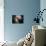 The Antennae Galaxies-Stocktrek Images-Photographic Print displayed on a wall