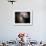 The Antennae Galaxies-Stocktrek Images-Framed Photographic Print displayed on a wall