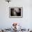 The Antennae Galaxies-Stocktrek Images-Framed Photographic Print displayed on a wall