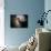 The Antennae Galaxies-Stocktrek Images-Mounted Photographic Print displayed on a wall