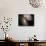 The Antennae Galaxies-Stocktrek Images-Mounted Photographic Print displayed on a wall