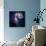 The Antennae Galaxies-Stocktrek Images-Photographic Print displayed on a wall