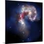 The Antennae Galaxies-Stocktrek Images-Mounted Photographic Print