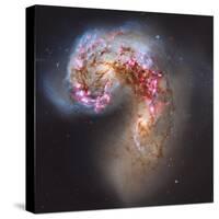 The Antennae Galaxies-null-Stretched Canvas