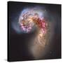 The Antennae Galaxies-null-Stretched Canvas
