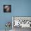 The Antennae Galaxies-null-Premium Photographic Print displayed on a wall