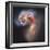 The Antennae Galaxies-null-Framed Premium Photographic Print