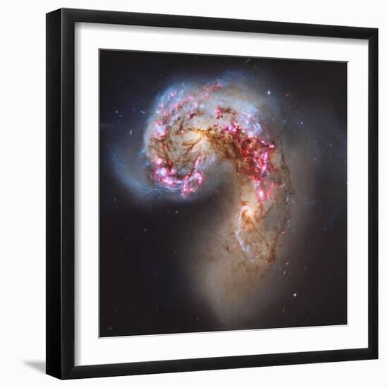 The Antennae Galaxies-null-Framed Premium Photographic Print