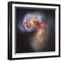 The Antennae Galaxies-null-Framed Premium Photographic Print