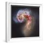 The Antennae Galaxies-null-Framed Premium Photographic Print