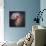 The Antennae Galaxies-null-Photographic Print displayed on a wall