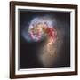 The Antennae Galaxies-null-Framed Photographic Print