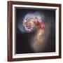 The Antennae Galaxies-null-Framed Photographic Print