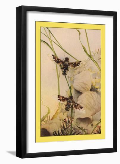 The Anthrax Fly-Edward Detmold-Framed Art Print