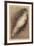 The Antique Parrot I-Maria Mendez-Framed Giclee Print