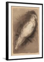 The Antique Parrot I-Maria Mendez-Framed Giclee Print