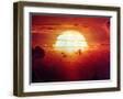 Brown Frame