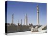 The Apadana (King's Audience Hall), Persepolis, Unesco World Heritage Site, Iran, Middle East-Jennifer Fry-Stretched Canvas