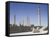 The Apadana (King's Audience Hall), Persepolis, Unesco World Heritage Site, Iran, Middle East-Jennifer Fry-Framed Stretched Canvas